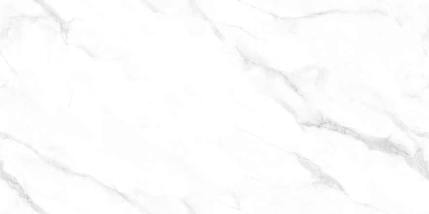 Керамогранит 2550 Statuario Endless NTT99506P (600x1200) NTT99506P
