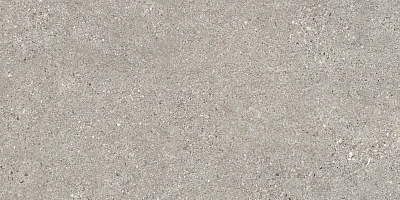 Manhattan Grey As (60x120x0,9)