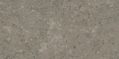 Керамогранит Marvel Meraviglia Grigio Elegante AJIU (60x120)