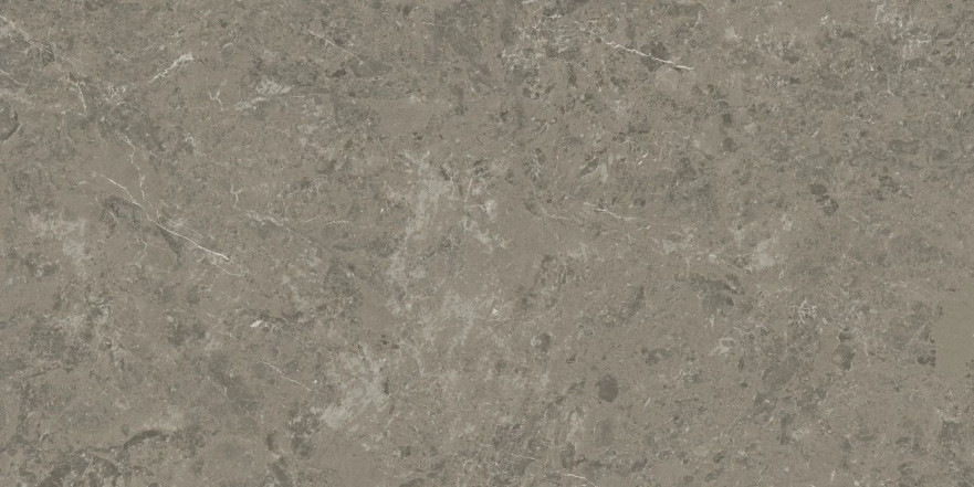 Керамогранит Marvel Meraviglia Grigio Elegante AJIU (60x120) AJIU