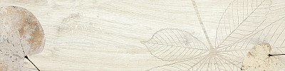 Керамогранит FI 10 FOLIAGE BLANCO (20x80) 27FI10FO