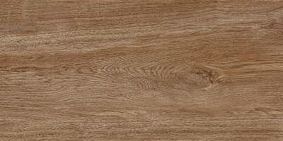 Плитка настенная Boho (24.9x50) TWU2550BOH40