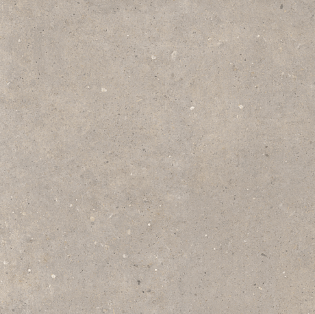 Greige (60x60) 580
