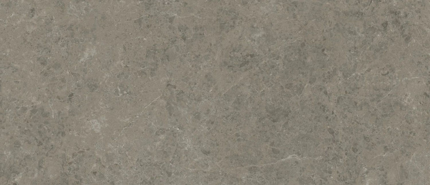 Керамогранит Marvel Meraviglia Grigio Elegante - 6mm Lapp. AJH5 (120x278) AJH5