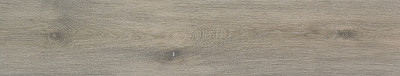 Керамогранит Articwood Argent Matt Rect (23x120) CAH4ARTWADAA