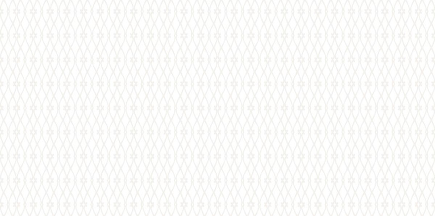 Настенная плитка Eleganza White (24.9x50) WT9ELZ00 WT9ELZ00