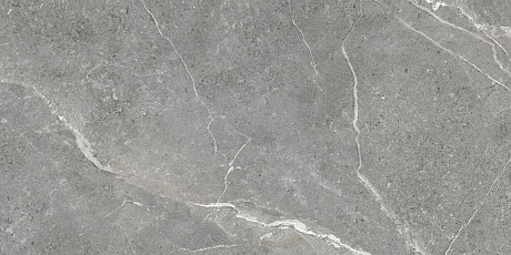 Керамогранит Titanium Gris (60x120) GP60120TIA05M