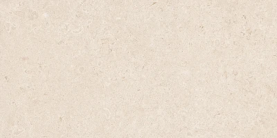Керамогранит R8JK Eterna Blanco rett. 60x120