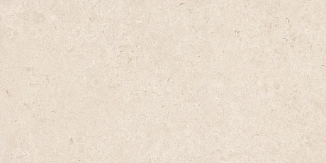 Керамогранит R8JK Eterna Blanco rett. 60x120