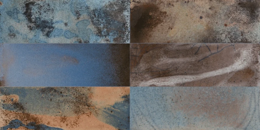 Fs Raku Colors