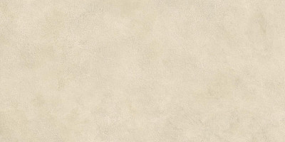 Boost Expression Camel 60x120 AYUY