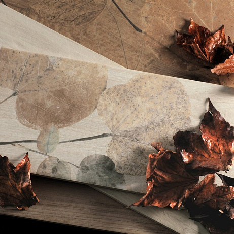 Foreste DItalia
