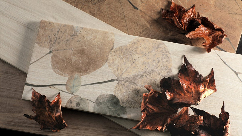 Foreste DItalia