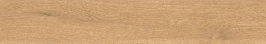 Entice Pale Oak Natural  20x120 A841 A841