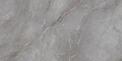 Керамогранит Orobico Grey Polished (60x120) N20484