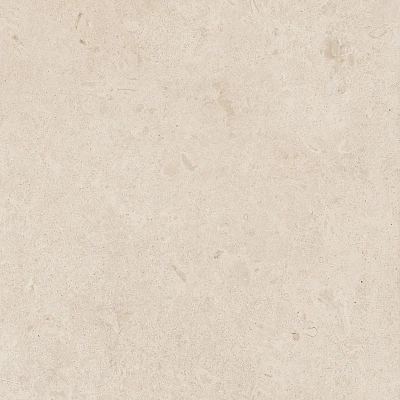 Керамогранит R8JS Eterna Blanco rett. 60x60