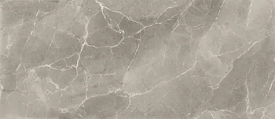 Керамогранит Elegance Greige (60х120) PEL6