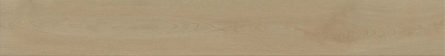 Entice Ash Oak Elegant  18,5x150 A8YE A8YE