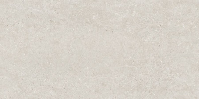 Керамогранит Beren Light Grey Soft 60x120