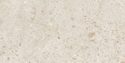 Керамогранит Bierzo Marfil Seda  (60x120)0 44BZP79