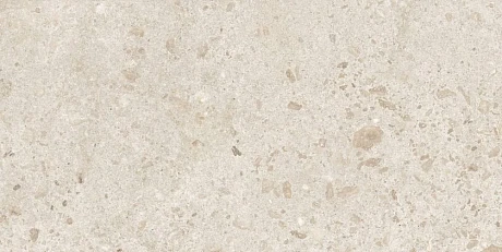 Керамогранит Bierzo Marfil Seda  (60x120)0 44BZP79