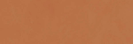 Керамическая плитка Splash Orange (20x60)