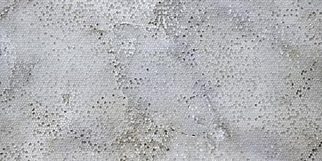 Керамогранит Pav. Jewel Evolution grey Lapp. Rett.New (60x120) 918125
