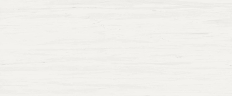 Marvel Bianco Dolomite 50x120 A4S4 A4S4