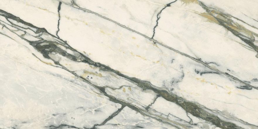 Керамогранит 0009069 Supreme Treasure Calacatta Emerald Nat Ret (60x120) 0009069
