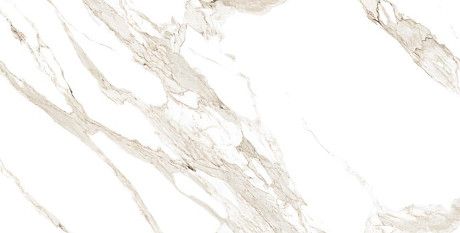 Керамогранит STATUARIO CARARA GLOSSY R (60x120) ROL83952