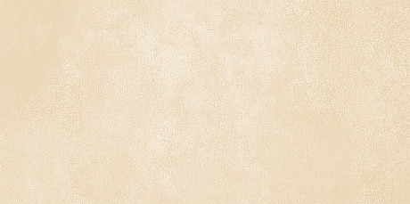 Плитка настенная Petra Beige (24.9x50) WT9PET11