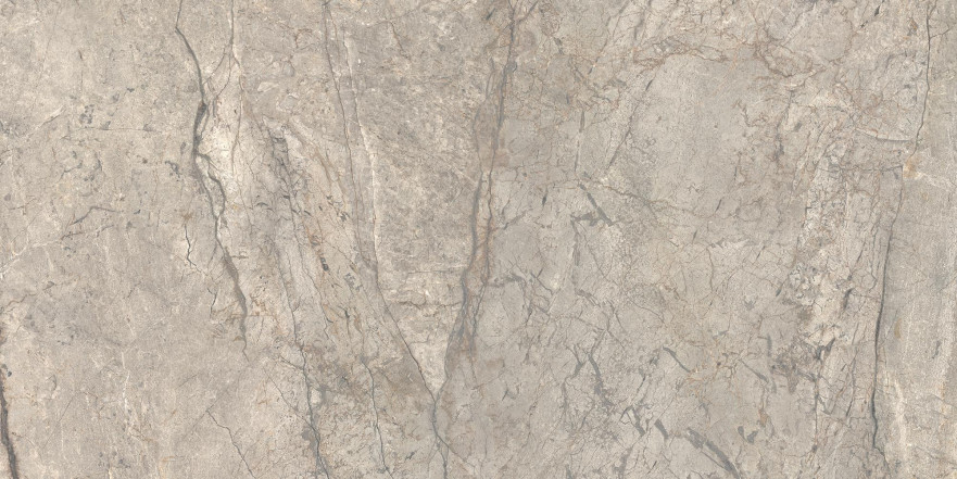 Керамогранит Anima Futura Amazing Silver Luc (60х120)