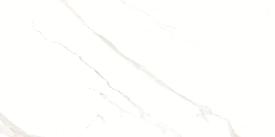 Керамогранит Pushkar White Matt 60x120