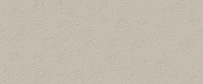 Керамическая плитка True Color Wind Fossil 50x120 RT