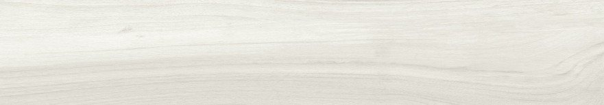 Керамогранит PROJECT WHITE RECT. (20x120) A034284 A034284
