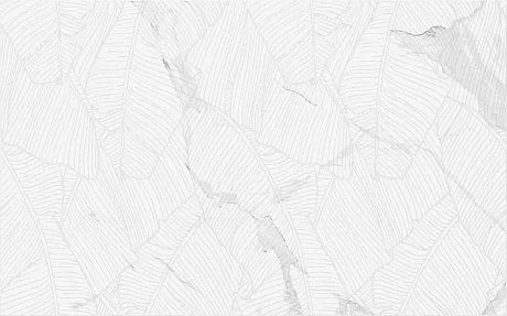 Керамическая плитка Lace белый (25х40) 00-00-5-09-00-01-2626