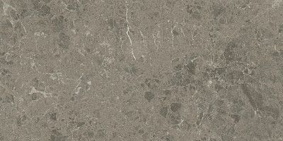 Керамогранит Marvel Meraviglia Grigio Elegante Lapp. AJJI (30x60)