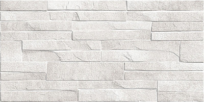 Плитка настенная Discover (24.9x50) TWU2550DCV14