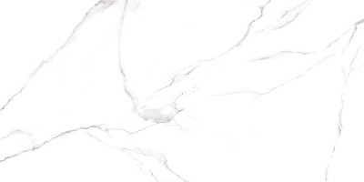 Керамогранит Carrara GFU60120CRR00R (60x120)