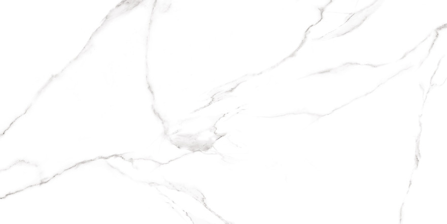 Керамогранит Carrara GFU60120CRR00R (60x120) GFU60120CRR00R