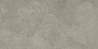 Westone Taupe Matt (60x120) Artech