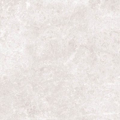 Керамогранит Light Grey Polished (59.2x59.2)