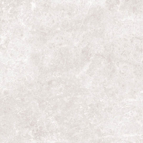 Керамогранит Light Grey Polished (59.2x59.2)