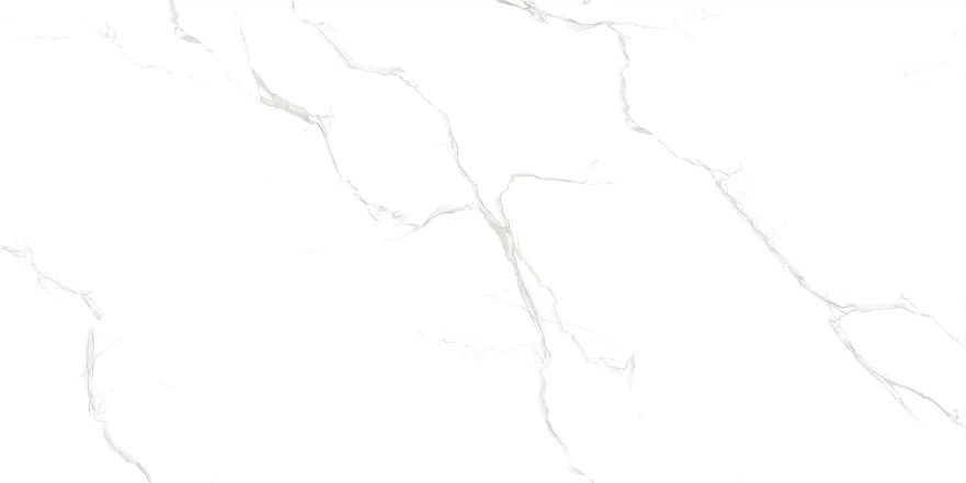 Sisam White Sisam White Glossy (60x120) RP-203102 RP-203102