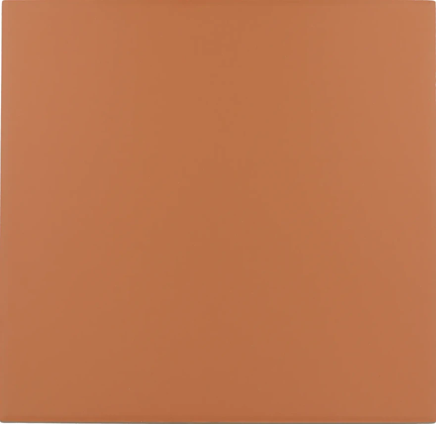 Керамогранит Rivoli Terre 20x20x0,83 30718