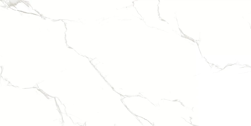 Sisam White Sisam White Glossy (60x120) RP-203102 RP-203102