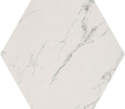 Керамогранит Cp Marmoker Statuario Grigio nat ottagono (59x59)