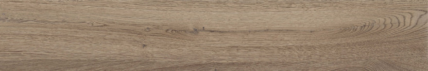 Керамогранит Poetry wood Oak nat r (20x120) PF60010060 PF60010060