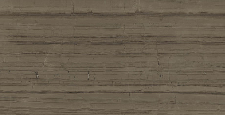 Керамогранит Charme Advance Elegant Brown (80x160) Ret 610010002163