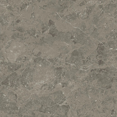 Керамогранит Marvel Meraviglia Grigio Elegante Lapp. AJI8 (60x60)
